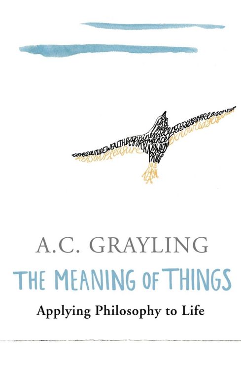 Produktbild: The Meaning of Things