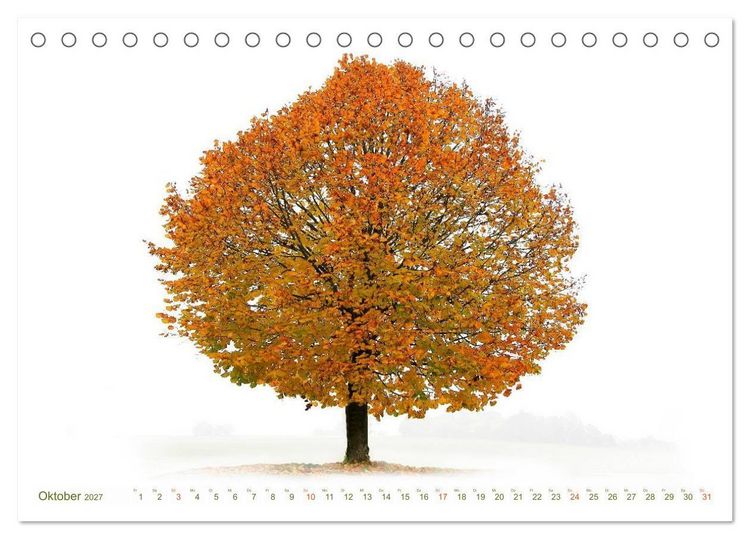 Produktbild: B&Auml;UME - wie gemalt (Tischkalender 2027 DIN A5 quer), CALVENDO Monatskalender