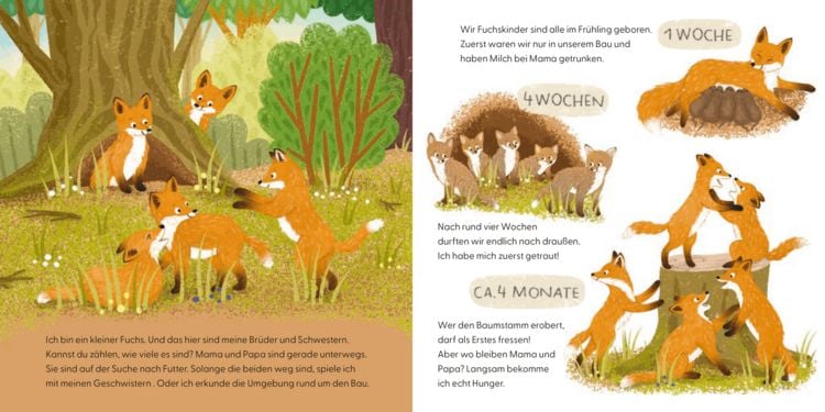 Produktbild: Kennst du mich? Ich bin ein Fuchs!