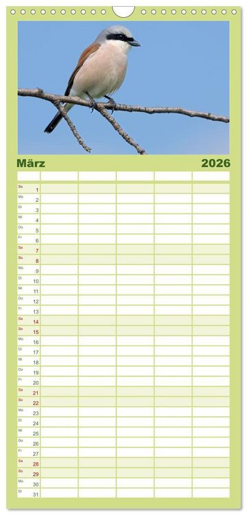 Produktbild: Familienplaner 2026 - Fantastische Vogelwelt Slowenien mit 5 Spalten (Wandkalender, 21 x 45 cm) CALVENDO