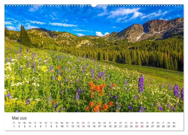 Produktbild: Die sch&ouml;nsten Blumenwiesen der Welt (hochwertiger Premium Wandkalender 2026 DIN A2 quer), Kunstdruck in Hochglanz