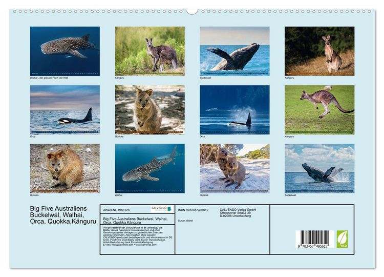 Produktbild: Big Five Australiens Buckelwal, Walhai, Orca, Quokka,K&auml;nguru (hochwertiger Premium Wandkalender 2026 DIN A2 quer), Kunstdruck in Hochglanz