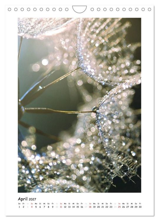 Produktbild: Die Pusteblume neu erleben (Wandkalender 2027 DIN A4 hoch), CALVENDO Monatskalender