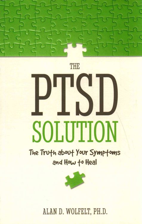 Produktbild: The PTSD Solution