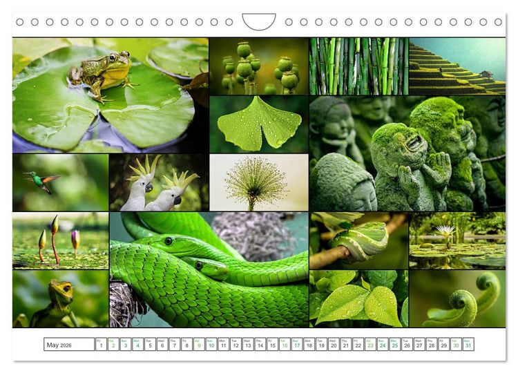Produktbild: Colour Symphonies of the Earth (Wall Calendar 2026 DIN A4 landscape), CALVENDO 12 Month Wall Calendar