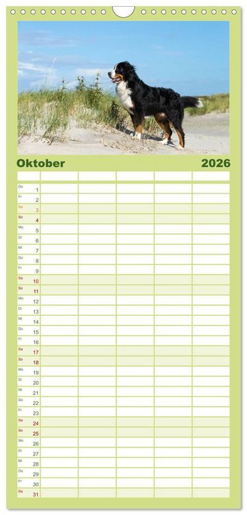 Produktbild: Familienplaner 2026 - Liebling BERNER SENNENHUND mit 5 Spalten (Wandkalender, 21 x 45 cm) CALVENDO