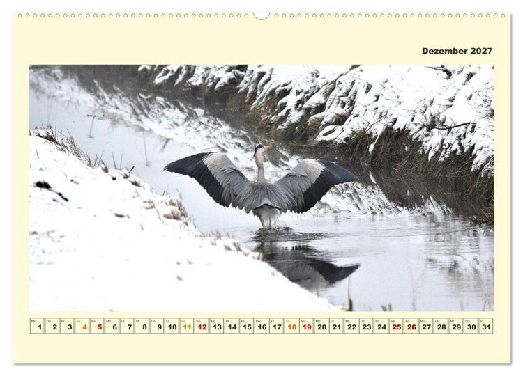 Produktbild: Tierwelt der W&uuml;mmeniederung (hochwertiger Premium Wandkalender 2027 DIN A2 quer), Kunstdruck in Hochglanz