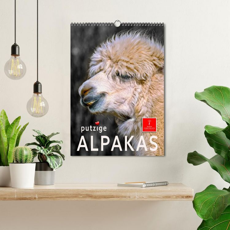 Produktbild: Putzige Alpakas (Wandkalender 2026 DIN A3 hoch), CALVENDO Monatskalender