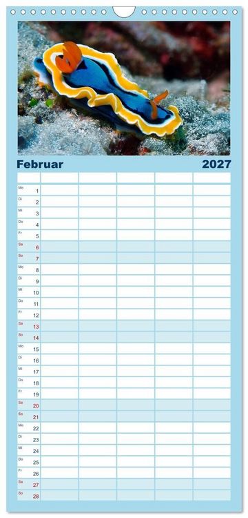 Produktbild: Familienplaner 2027 - Meeres-Schnecken mit 5 Spalten (Wandkalender, 21 x 45 cm) CALVENDO