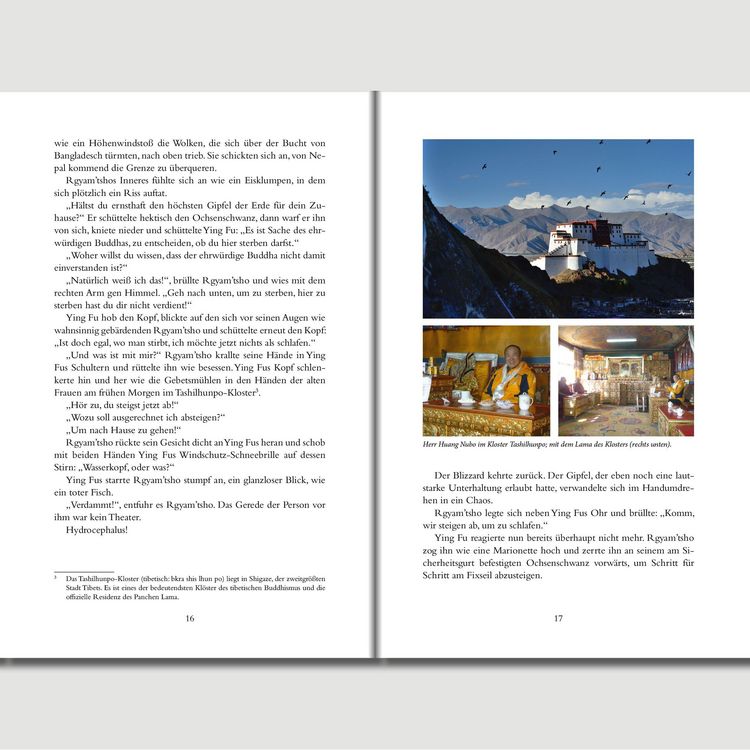 Produktbild: Die Flucht auf den Mount Everest