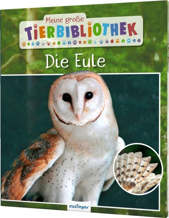 Produktbild: Meine große Tierbibliothek: Die Eule