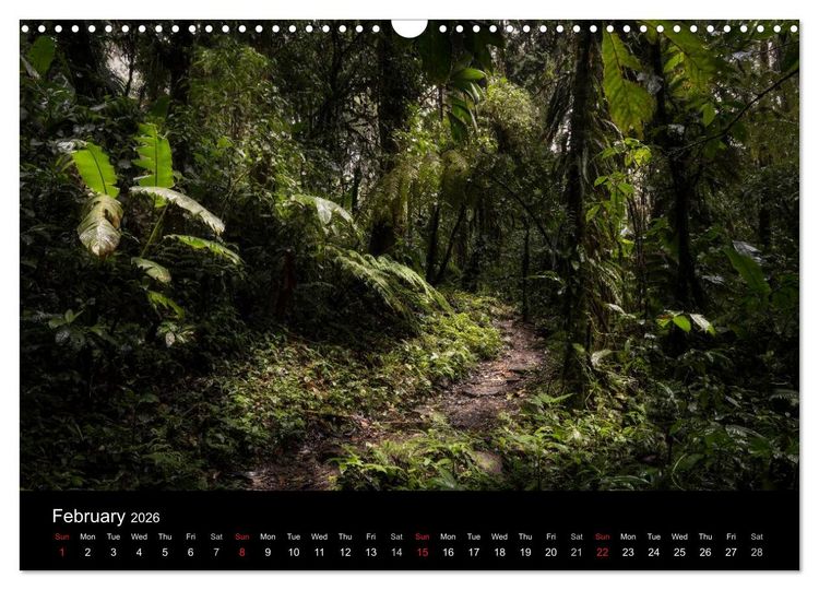 Produktbild: Costa Rica Colours and Light (Wall Calendar 2026 DIN A3 landscape), CALVENDO 12 Month Wall Calendar