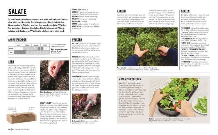 Produktbild: Gr&uuml;nes Gartenwissen. Gem&uuml;se anbauen