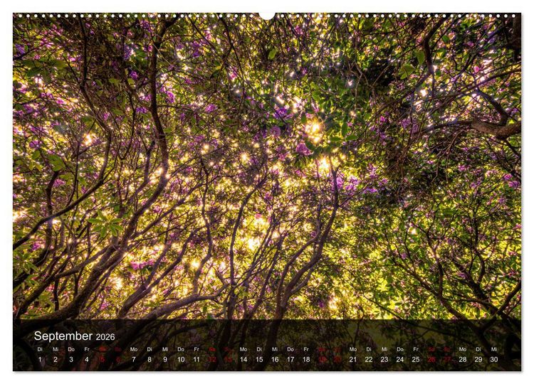 Produktbild: Wundervolle Naturlandschaften (hochwertiger Premium Wandkalender 2026 DIN A2 quer), Kunstdruck in Hochglanz
