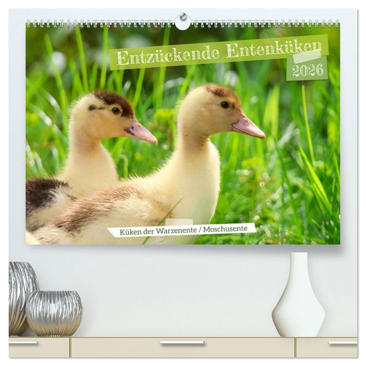 Produktbild: Entz&uuml;ckende Entenk&uuml;ken (hochwertiger Premium Wandkalender 2026 DIN A2 quer), Kunstdruck in Hochglanz