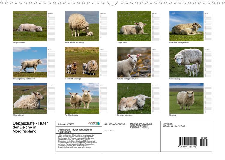 Produktbild: Deichschafe (Wandkalender 2022 DIN A3 quer)