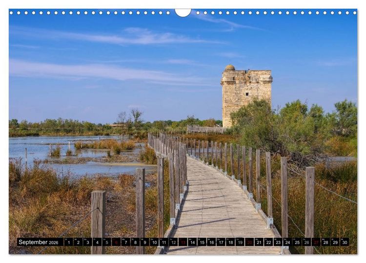 Produktbild: Camargue - Im Land der wei&szlig;en Pferde und schwarzen Stiere (Wandkalender 2026 DIN A3 quer), CALVENDO Monatskalender