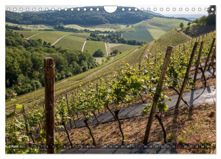 Produktbild: Weinlagen in Franken (Wandkalender 2027 DIN A4 quer), CALVENDO Monatskalender