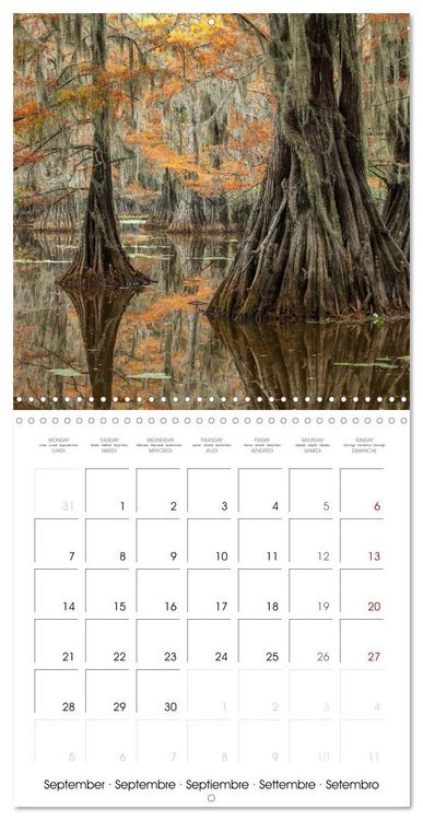 Produktbild: Mississippi Delta, Magic Swamps (Wall Calendar 2026 12 &times; 12 Inch) CALVENDO 12 Month Wall Calendar