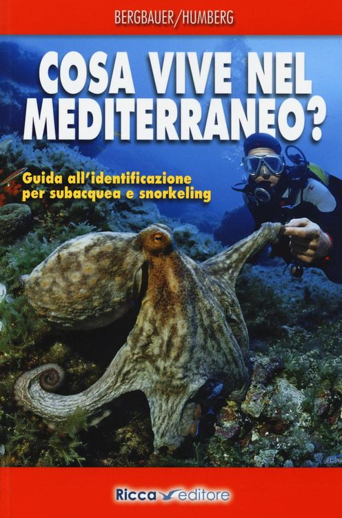 Produktbild: Cosa vive nel Mediterraneo? Guida all'identificazione per i subacquea e snorkeling