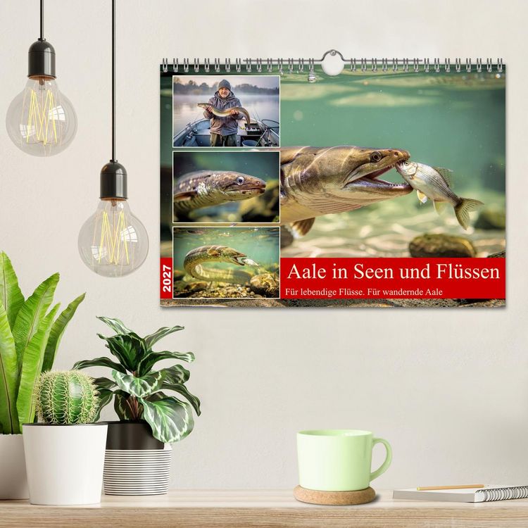 Produktbild: Aale in Seen und Fl&uuml;ssen (Wandkalender 2027 DIN A4 quer), CALVENDO Monatskalender