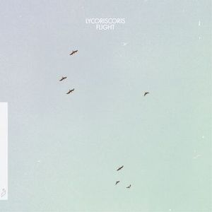 Produktbild: Flight