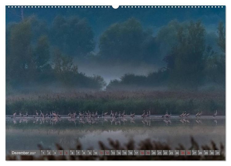 Produktbild: Mit Kranichen durch das Jahr (Wandkalender 2027 DIN A2 quer), CALVENDO Monatskalender