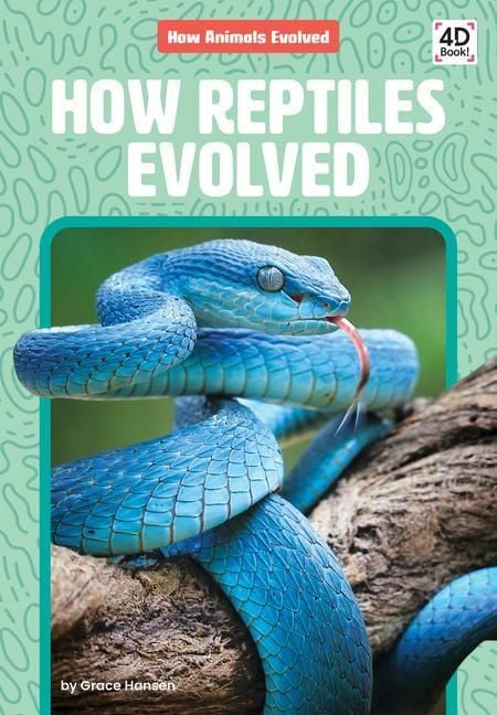 Produktbild: How Reptiles Evolved