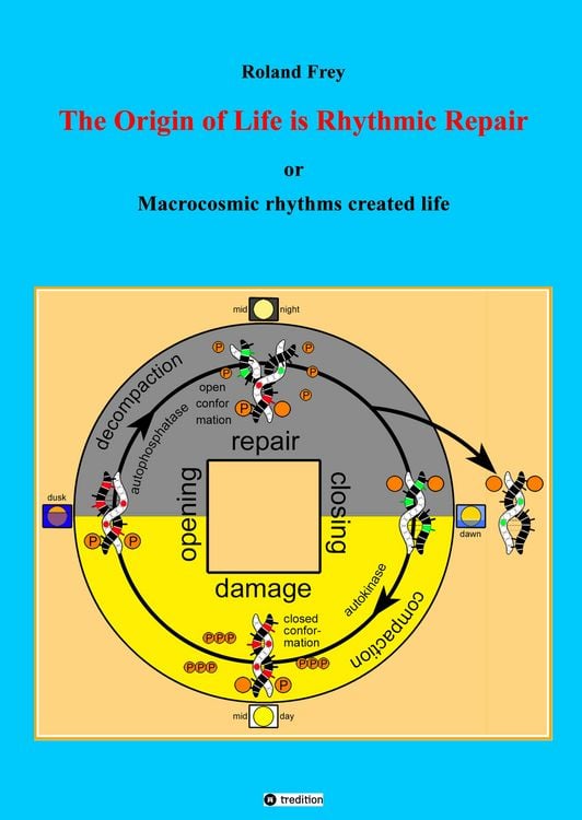 Produktbild: The origin of life is rhythmic repair or Macrocosmic rhythms created life