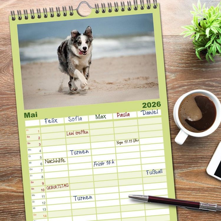 Produktbild: Familienplaner 2026 - Border Collies mit 5 Spalten (Wandkalender, 21 x 45 cm) CALVENDO