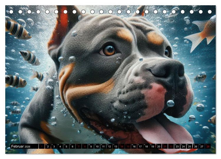 Produktbild: Badespa&szlig; - Hunde unter Wasser (Tischkalender 2026 DIN A5 quer), CALVENDO Monatskalender