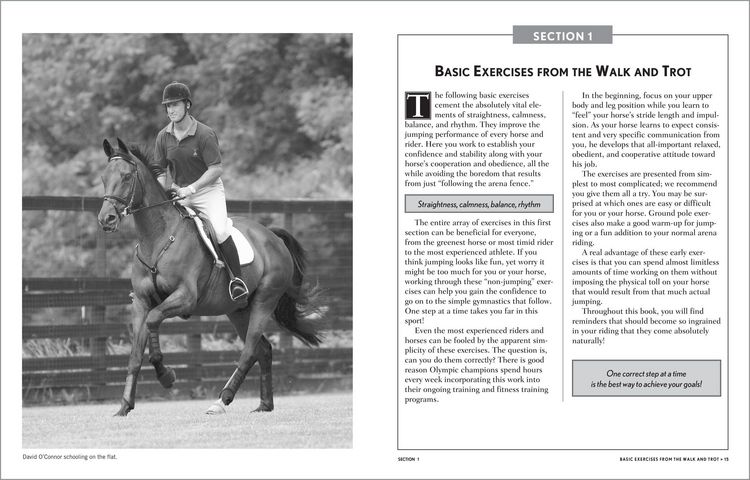 Produktbild: 101 Jumping Exercises for Horse & Rider