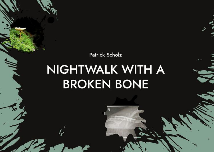 Produktbild: Nightwalk with a broken bone