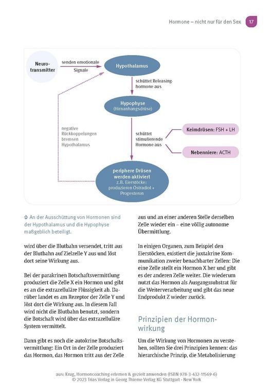 Produktbild: Hormoncoaching erlernen & gezielt anwenden