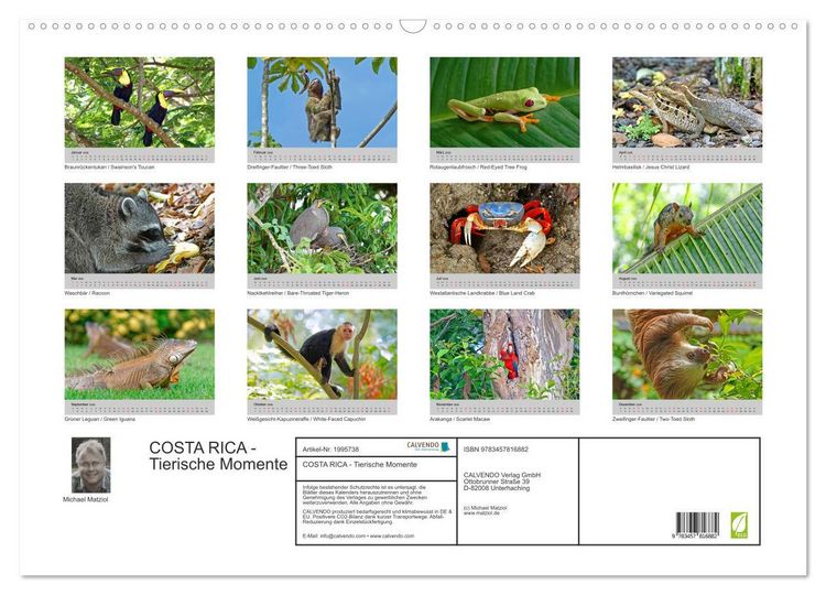 Produktbild: COSTA RICA - Tierische Momente (Wandkalender 2026 DIN A2 quer), CALVENDO Monatskalender