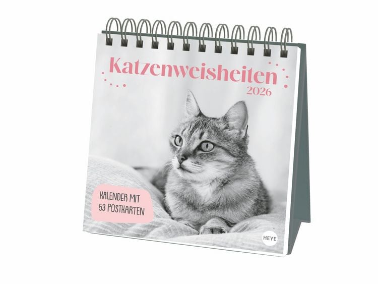 Produktbild: Katzen Weisheiten Premium-Postkartenkalender 2026