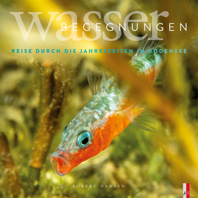 Produktbild: Wasser Begegnungen