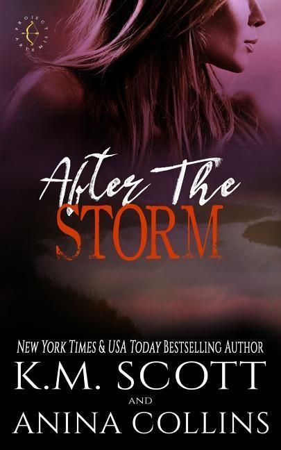 Produktbild: After the Storm