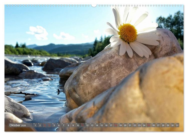 Produktbild: Flora der Alpen (hochwertiger Premium Wandkalender 2026 DIN A2 quer), Kunstdruck in Hochglanz