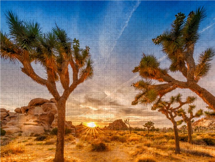 Produktbild: CALVENDO Puzzle Herrlicher Sonnenuntergang im Joshua Tree National Park 1000 Teile Lege-Gr&ouml;&szlig;e 64 x 48 cm Foto-Puzzle Bild von Melanie Viola