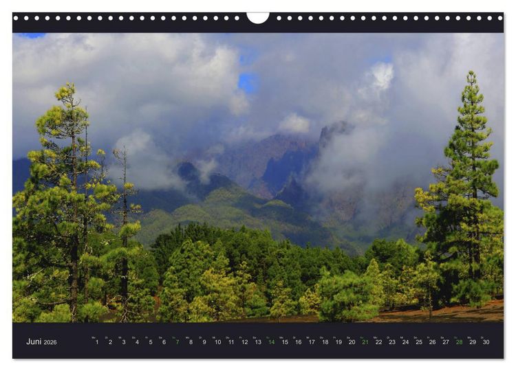Produktbild: wildes La Palma (Wandkalender 2026 DIN A3 quer), CALVENDO Monatskalender