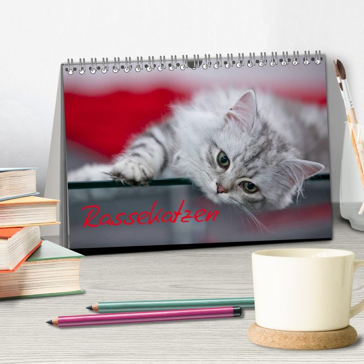 Produktbild: Rassekatzen (Tischkalender 2026 DIN A5 quer), CALVENDO Monatskalender