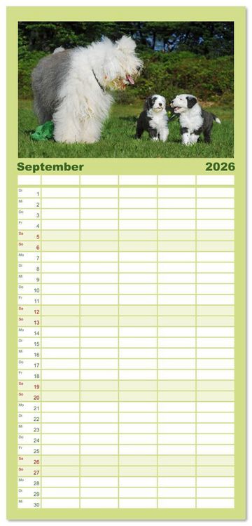 Produktbild: Familienplaner 2026 - In der Kinderstube bei Familie Bobtail mit 5 Spalten (Wandkalender, 21 x 45 cm) CALVENDO