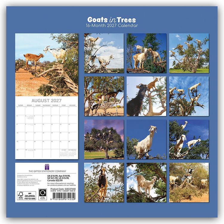 Produktbild: Goats in Trees &ndash; Ziegen auf B&auml;umen 2027 &ndash; 16-Monatskalender