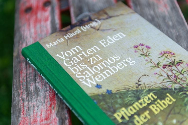 Produktbild: Vom Garten Eden bis zu Salomos Weinberg