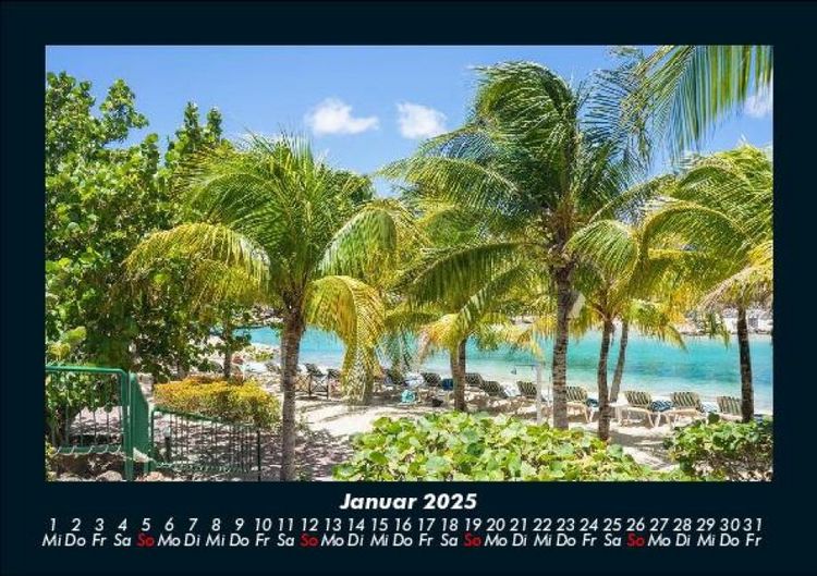Produktbild: Palmen 2025 Fotokalender DIN A5