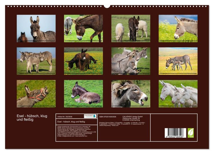 Produktbild: Esel - h&uuml;bsch, klug und flei&szlig;ig (hochwertiger Premium Wandkalender 2026 DIN A2 quer), Kunstdruck in Hochglanz