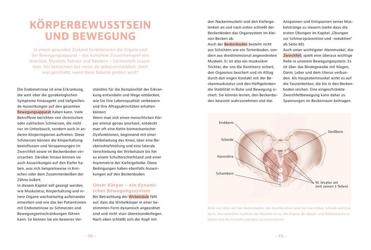 Produktbild: Endometriose &ndash; Was tun?