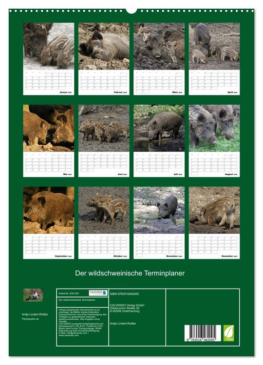 Produktbild: Der wildschweinische Terminplaner (hochwertiger Premium Wandkalender 2026 DIN A2 hoch), Kunstdruck in Hochglanz