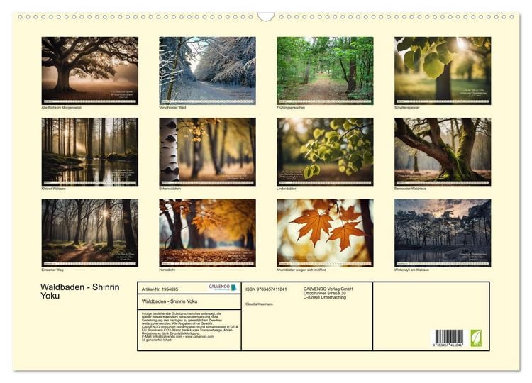Produktbild: Waldbaden - Shinrin Yoku (Wandkalender 2026 DIN A2 quer), CALVENDO Monatskalender